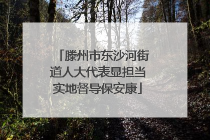 滕州市东沙河街道人大代表显担当实地督导保安康