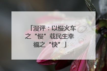 漫评：以慢火车之“慢”载民生幸福之“快”