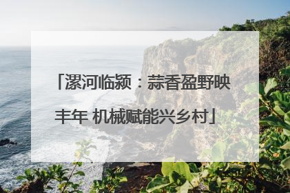漯河临颍：蒜香盈野映丰年 机械赋能兴乡村