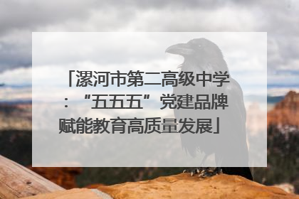漯河市第二高级中学：“五五五”党建品牌赋能教育高质量发展