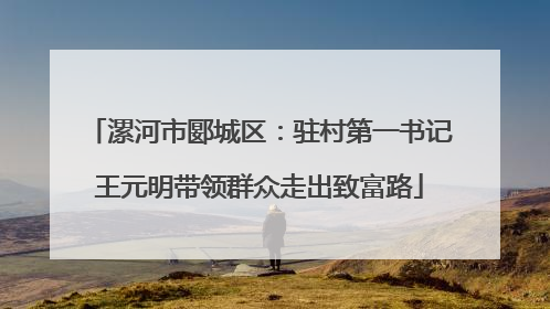 漯河市郾城区：驻村第一书记王元明带领群众走出致富路