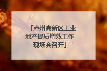 漳州高新区工业地产提质增效工作现场会召开