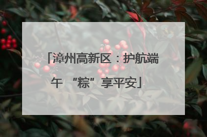 漳州高新区：护航端午 “粽”享平安