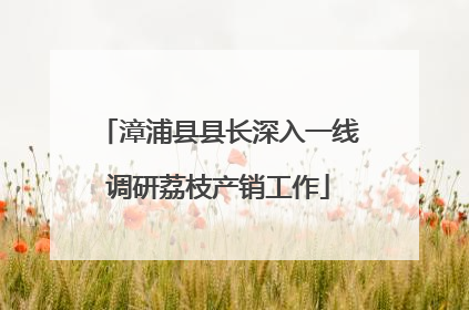 漳浦县县长深入一线调研荔枝产销工作