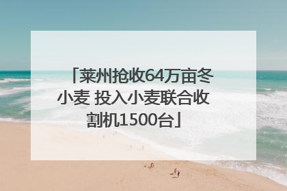 莱州抢收64万亩冬小麦 投入小麦联合收割机1500台