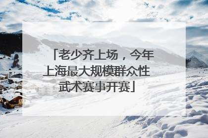 老少齐上场，今年上海最大规模群众性武术赛事开赛