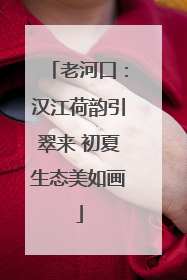 老河口：汉江荷韵引翠来 初夏生态美如画