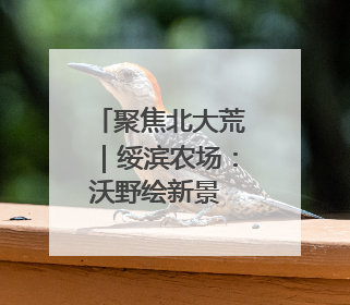 聚焦北大荒｜绥滨农场：沃野绘新景 实干开新局