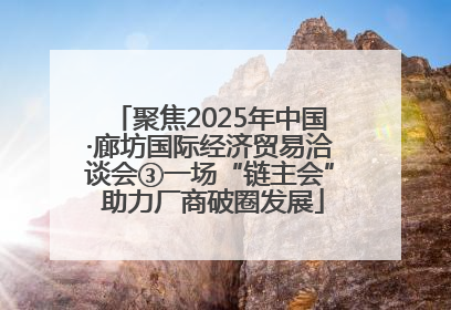 聚焦2025年中国·廊坊国际经济贸易洽谈会③一场“链主会” 助力厂商破圈发展