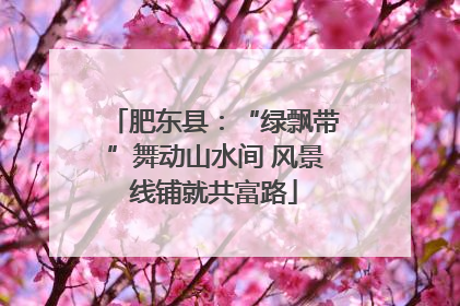 肥东县：“绿飘带”舞动山水间 风景线铺就共富路