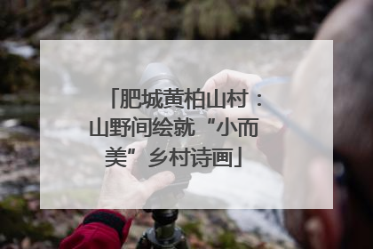 肥城黄柏山村：山野间绘就“小而美”乡村诗画