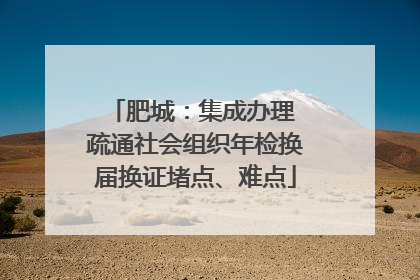 肥城：集成办理 疏通社会组织年检换届换证堵点、难点