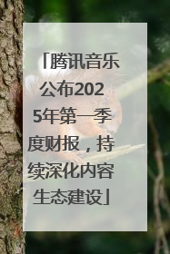 腾讯音乐公布2025年第一季度财报，持续深化内容生态建设