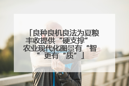 良种良机良法为夏粮丰收提供“硬支撑” 农业现代化图景有“智”更有“质”