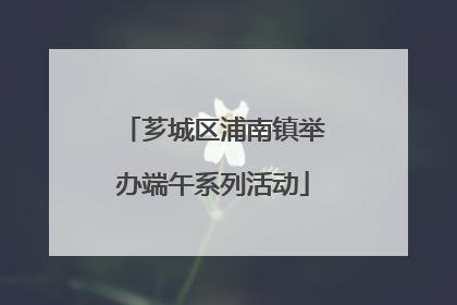 芗城区浦南镇举办端午系列活动