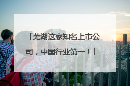 芜湖这家知名上市公司，中国行业第一！