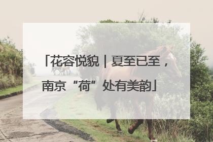 花容悦貌｜夏至已至，南京“荷”处有美韵