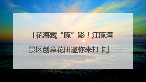 花海藏“豚”影！江豚湾景区创意花田邀你来打卡