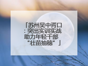 苏州吴中胥口：突出实训实战 助力年轻干部“壮苗抽穗”