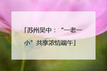苏州吴中：“一老一小”共享浓情端午