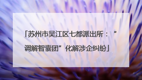 苏州市吴江区七都派出所：“调解智囊团”化解涉企纠纷