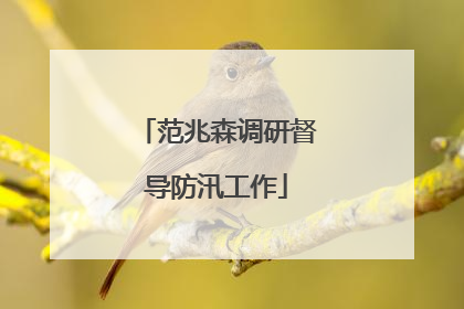 范兆森调研督导防汛工作