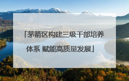 茅箭区构建三级干部培养体系 赋能高质量发展