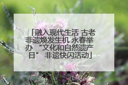 融入现代生活 古老非遗焕发生机 永春举办 “文化和自然遗产日” 非遗快闪活动