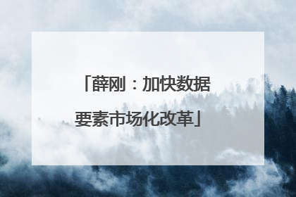 薛刚：加快数据要素市场化改革