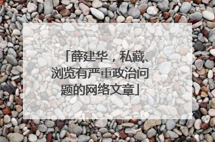 薛建华，私藏、浏览有严重政治问题的网络文章