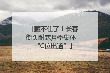 藏不住了！长春街头耐寒月季集体“C位出道”