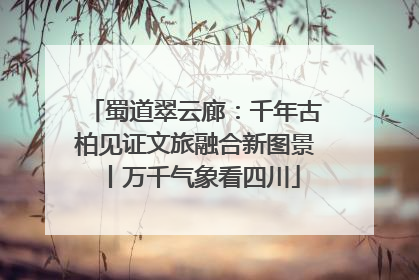 蜀道翠云廊：千年古柏见证文旅融合新图景丨万千气象看四川