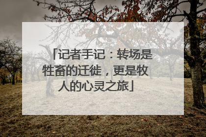 记者手记：转场是牲畜的迁徙，更是牧人的心灵之旅