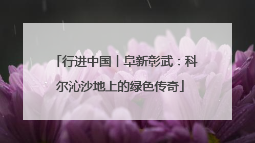 行进中国丨阜新彰武：科尔沁沙地上的绿色传奇