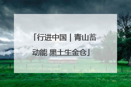 行进中国｜青山蓄动能 黑土生金仓
