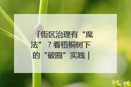 街区治理有“魔法”？看梧桐树下的“破圈”实践｜我在街区当书记