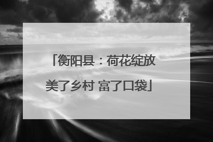 衡阳县：荷花绽放 美了乡村 富了口袋
