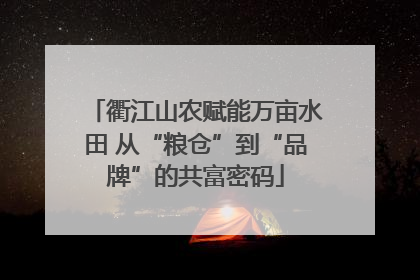 衢江山农赋能万亩水田 从“粮仓”到“品牌”的共富密码