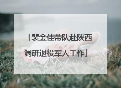 裴金佳带队赴陕西调研退役军人工作