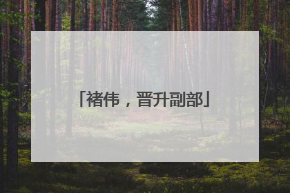 褚伟，晋升副部