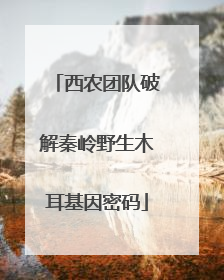 西农团队破解秦岭野生木耳基因密码