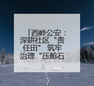西峰公安：深耕社区“责任田” 筑牢治理“压舱石”