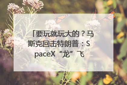 要玩就玩大的？马斯克回击特朗普：SpaceX“龙”飞船将立即退役！