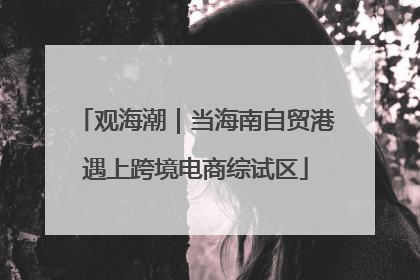 观海潮｜当海南自贸港遇上跨境电商综试区