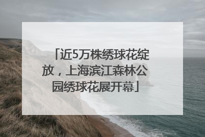 近5万株绣球花绽放，上海滨江森林公园绣球花展开幕