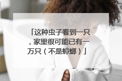 这种虫子看到一只，家里很可能已有一万只（不是蟑螂）