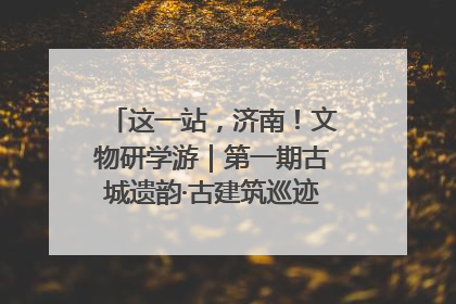 这一站，济南！文物研学游｜第一期古城遗韵·古建筑巡迹之旅圆满结束