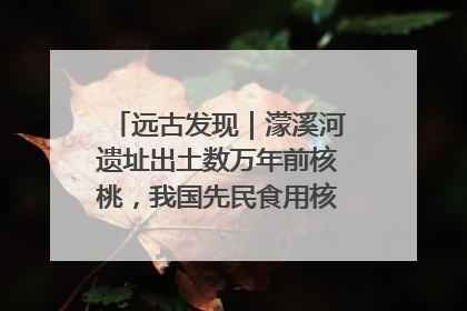 远古发现｜濛溪河遗址出土数万年前核桃，我国先民食用核桃历史大幅提前