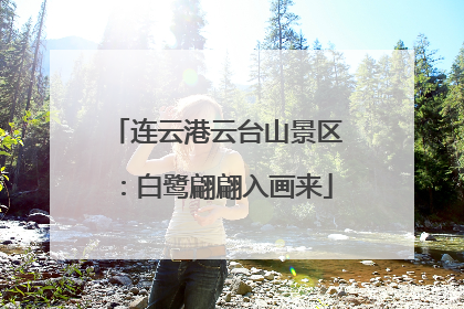 连云港云台山景区：白鹭翩翩入画来