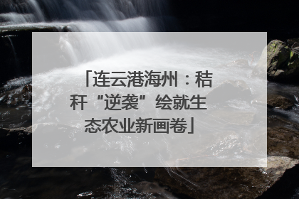 连云港海州：秸秆“逆袭”绘就生态农业新画卷
